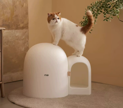 MS Cat Litter Box