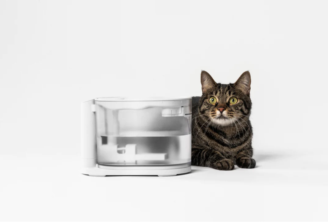 pidan Water Fountain for Cats with Water Temperature Control 2.0