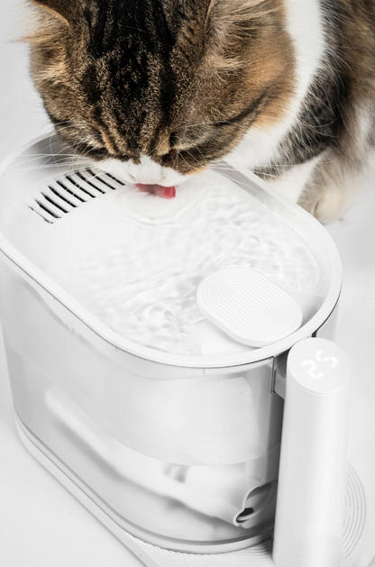 pidan Water Fountain for Cats with Water Temperature Control 2.0