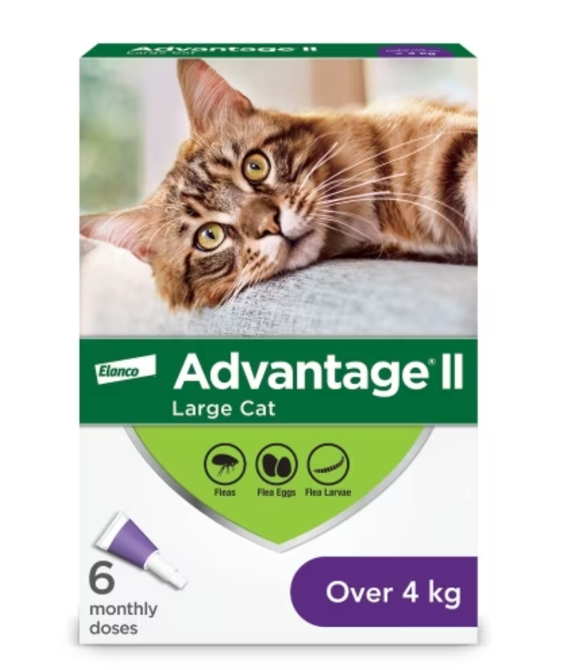 Advantage II - Cat, 4kg