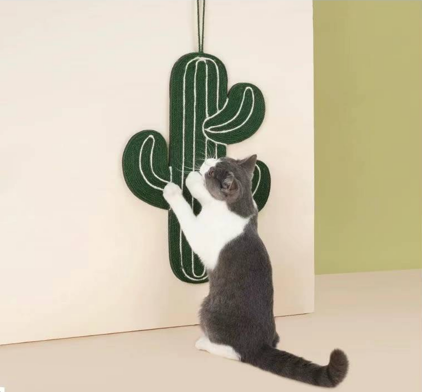 Cat Scratch Mat - cactus