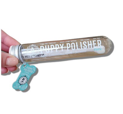 Wag & Bright PUPPY POLISHER WHEATSTRAW TOOTHBRUSH - 3 Sizes