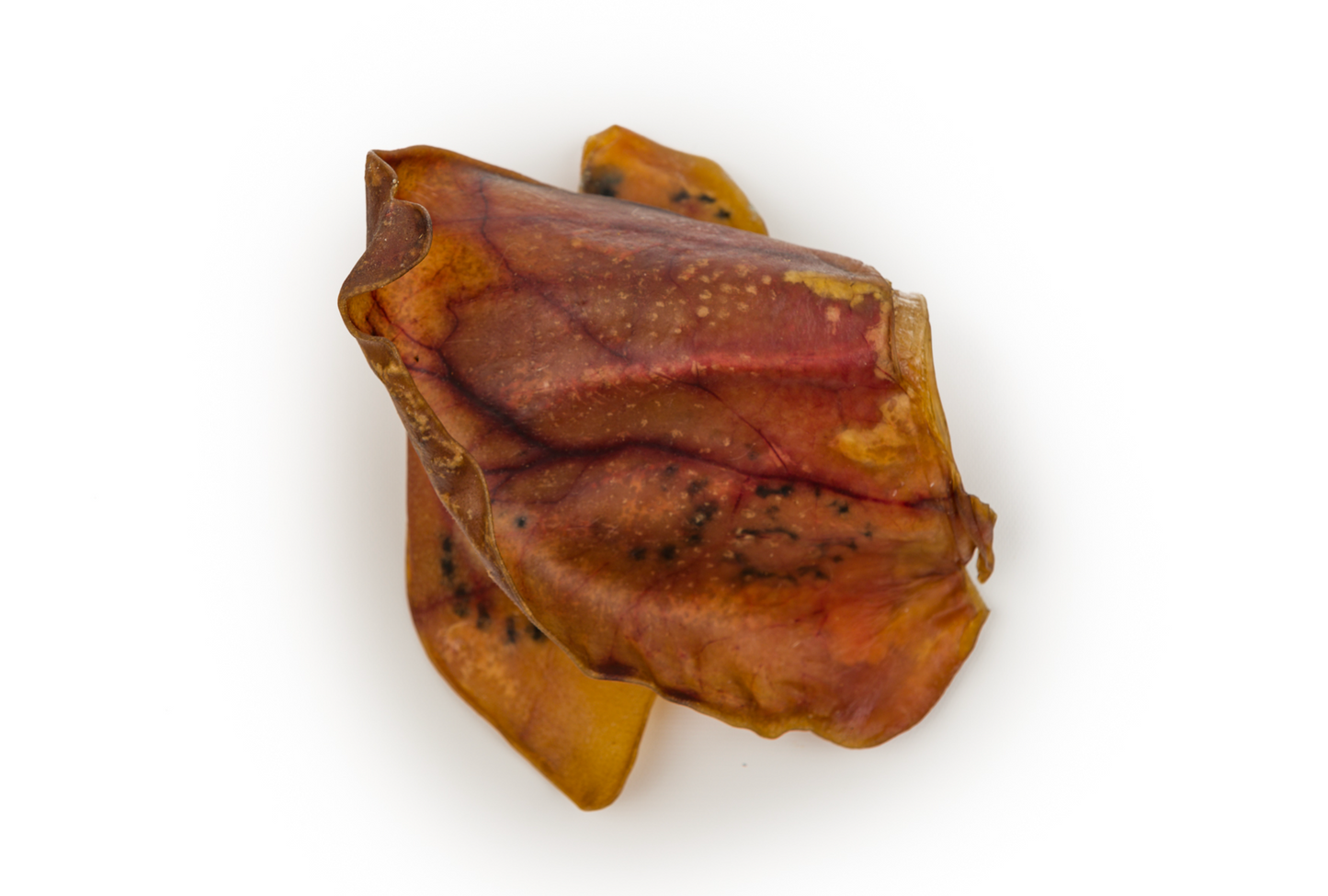 Hero Pig Ear – 2 PCS