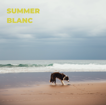 ROOROO MADE - Dog Perfume | SUMMER BLANC