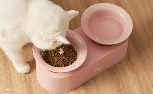CeramiLift – Dual Raised Pet Bowls
