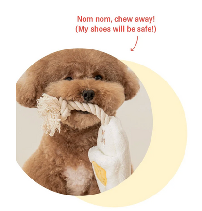 Bite Me  Biteme Slipper Rope Toys