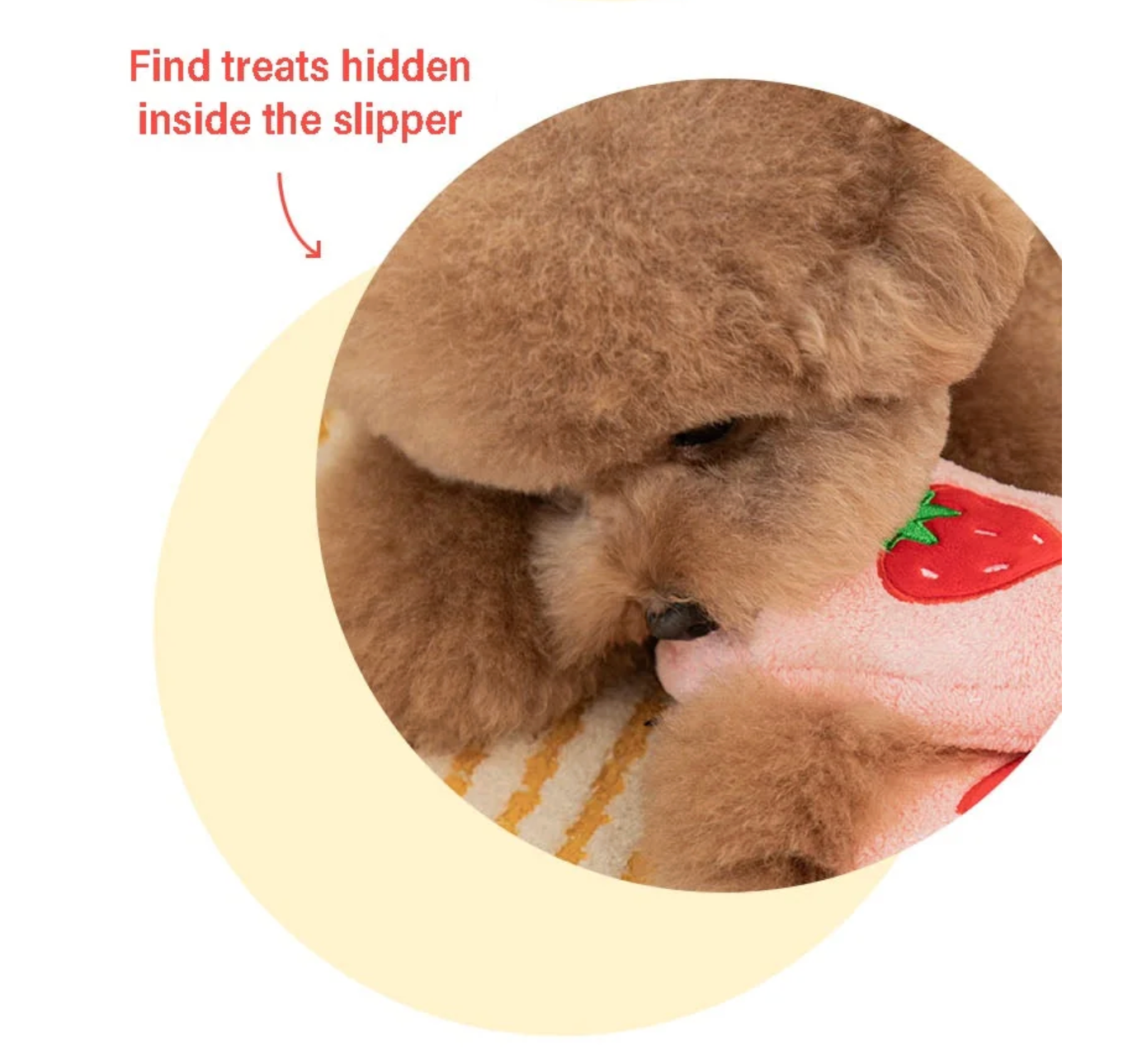 Bite Me  Biteme Slipper Rope Toys