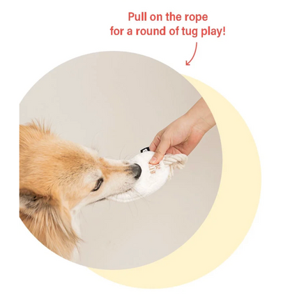 Bite Me  Biteme Slipper Rope Toys