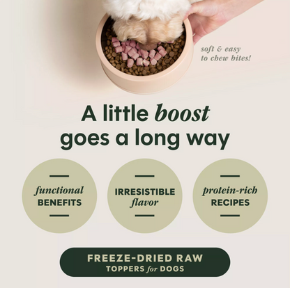Instinct® Raw Boost Mixers® Skin & Coat Health All Life Stages Dog Food Topper 5.5oz