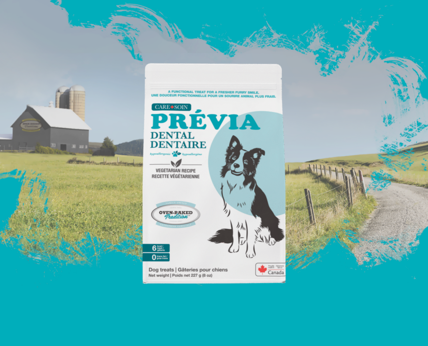 Oven-Baked Tradition Grain Free Care, Prévia Dental, Vegetarian Recipe Treats Dog 227g