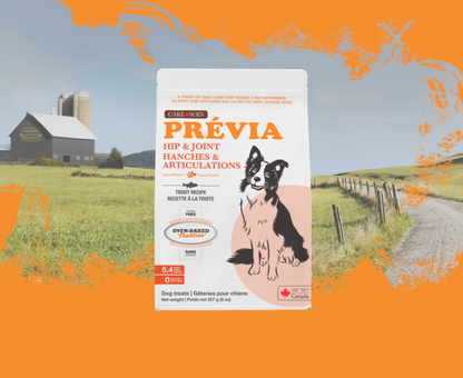 Oven-Baked Tradition Grain Free Care, Prévia Hip & Joint, Trout Recipe Treats Dog 227g