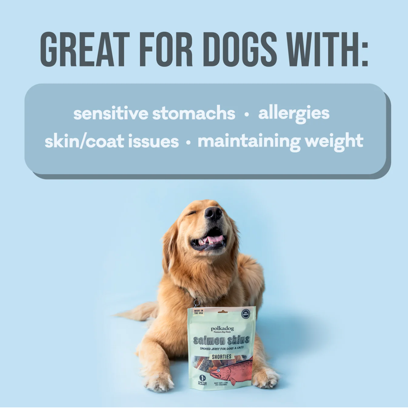 Polkadog Pouch: Salmon Skins Jerky 85g