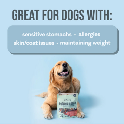 Polkadog Pouch: Salmon Skins Jerky 85g