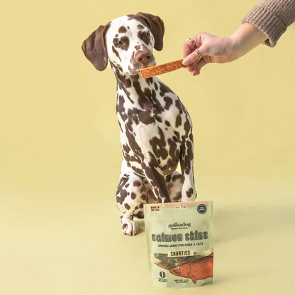 Polkadog Pouch: Salmon Skins Jerky 85g