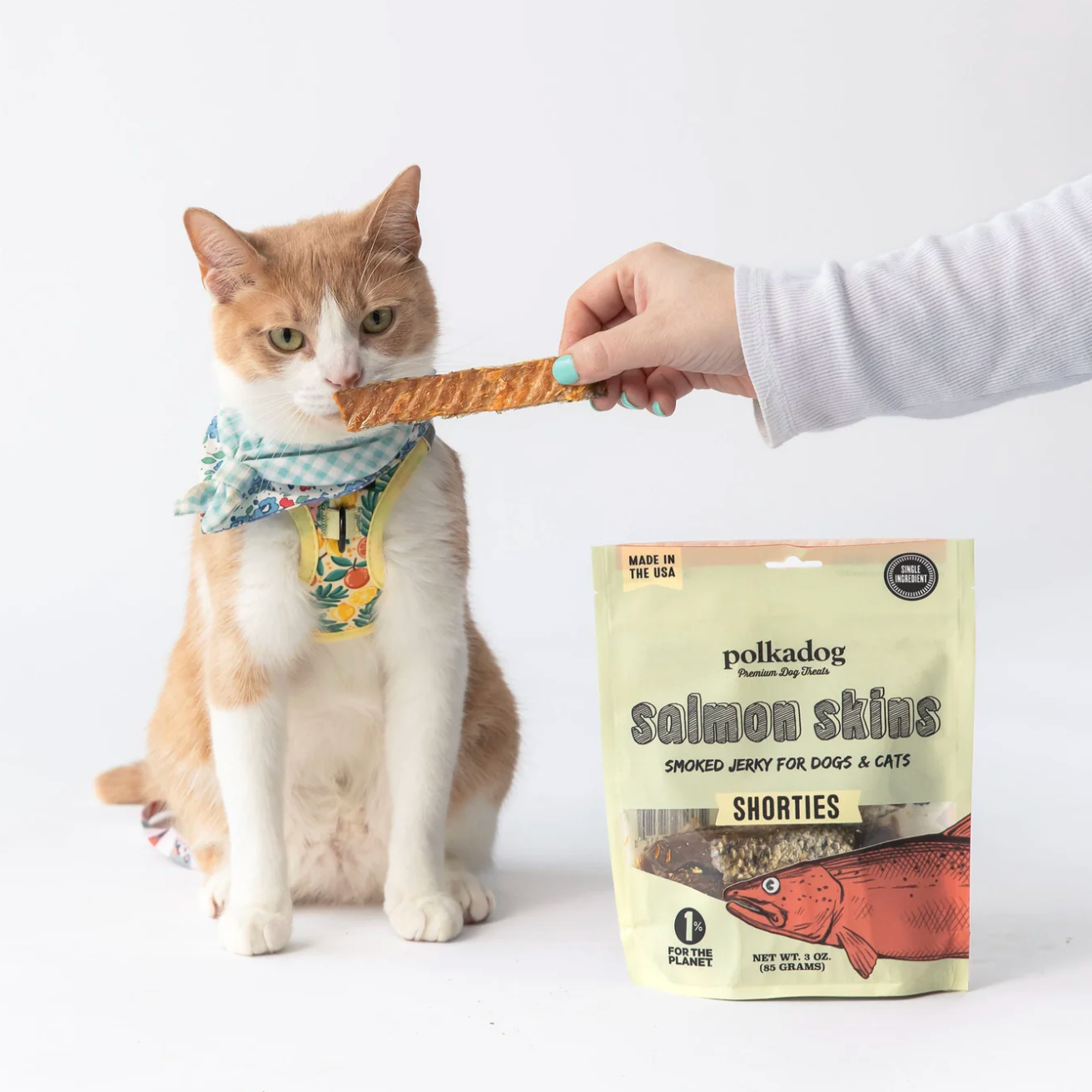 Polkadog Pouch: Salmon Skins Jerky 85g