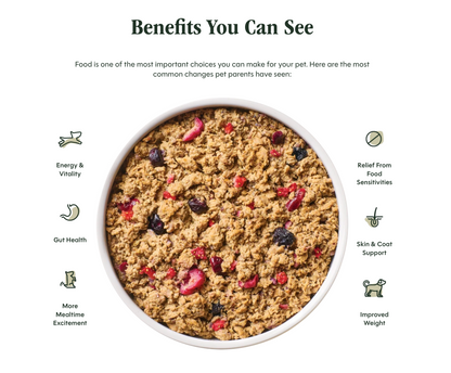 Instinct FreshDried Dog Food Beef & Wild Berries Blend