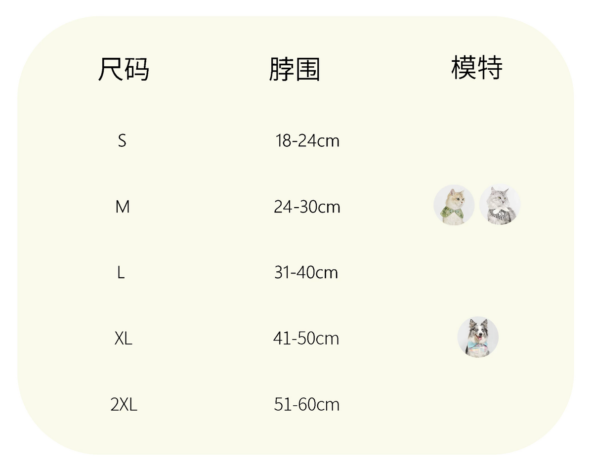 Birthday Cutie Bib & Party Hat Set