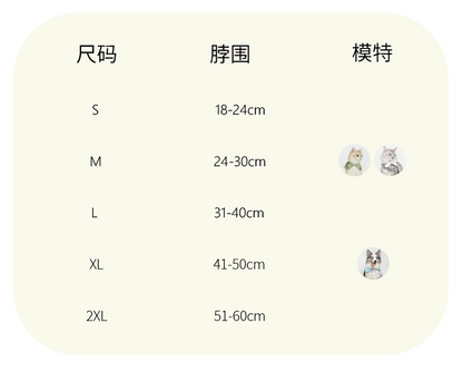 Birthday Cutie Bib & Party Hat Set