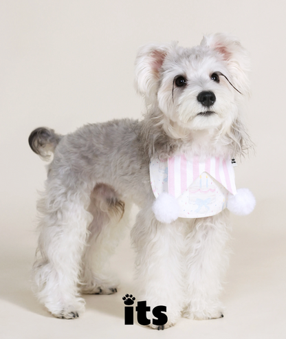 Birthday Cutie Bib & Party Hat Set