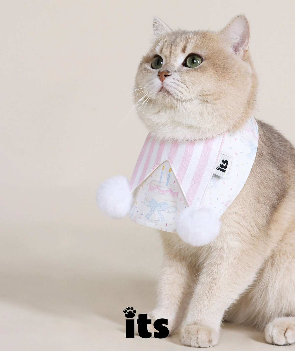 Birthday Cutie Bib & Party Hat Set
