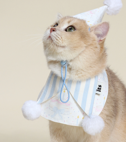 Birthday Cutie Bib & Party Hat Set