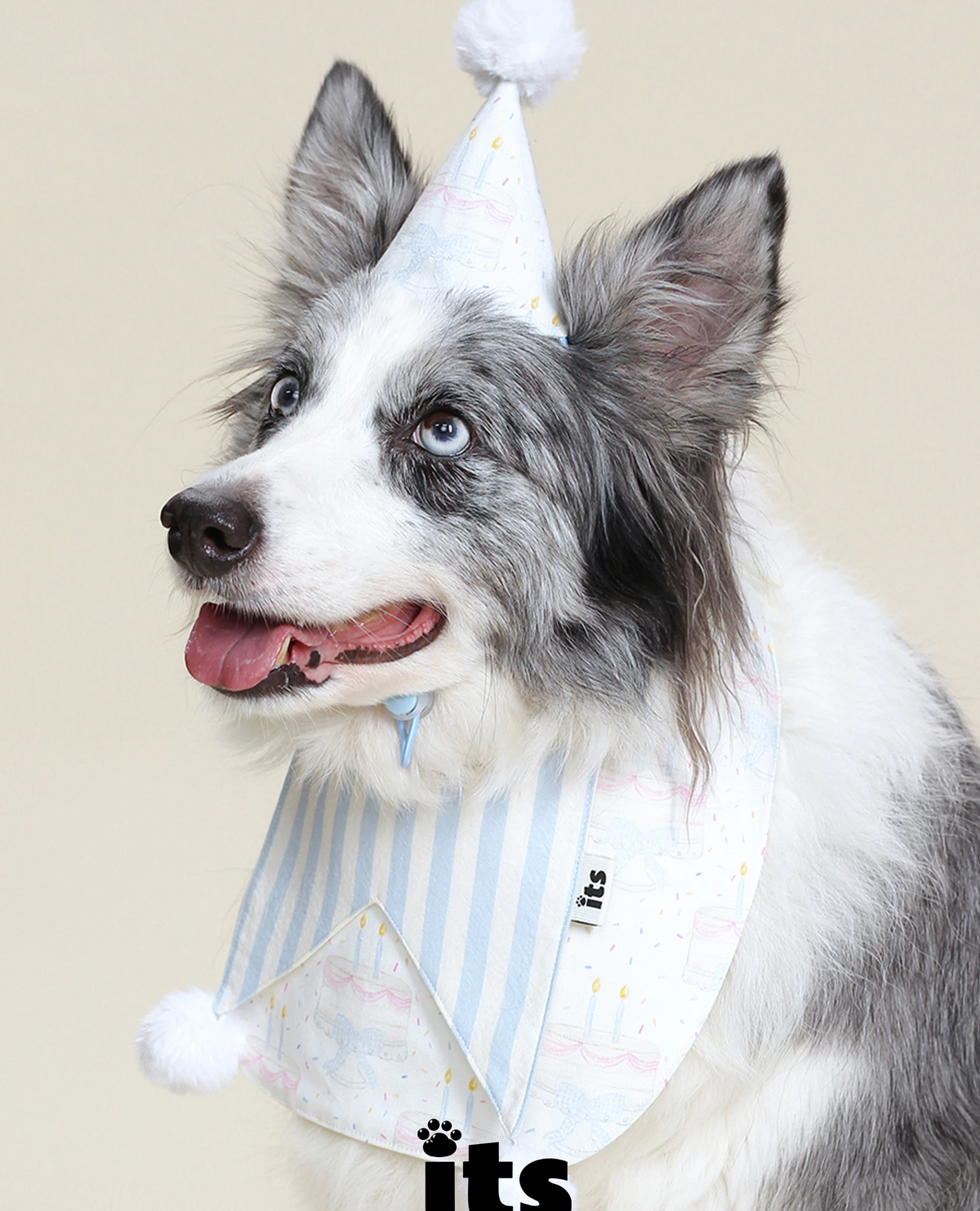 Birthday Cutie Bib & Party Hat Set