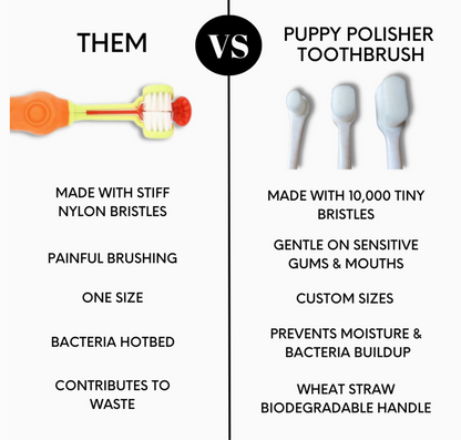 Wag & Bright PUPPY POLISHER WHEATSTRAW TOOTHBRUSH - 3 Sizes