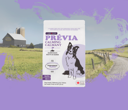 Oven-Baked Tradition Grain Free Care, Prévia Calming, Salmon Recipe Treats Dog 227g