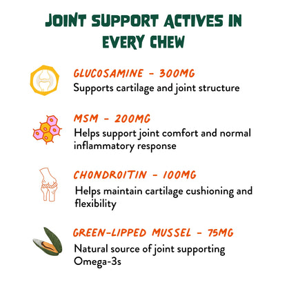 FAM PETS Hip & Joint Soft Chews for Dogs