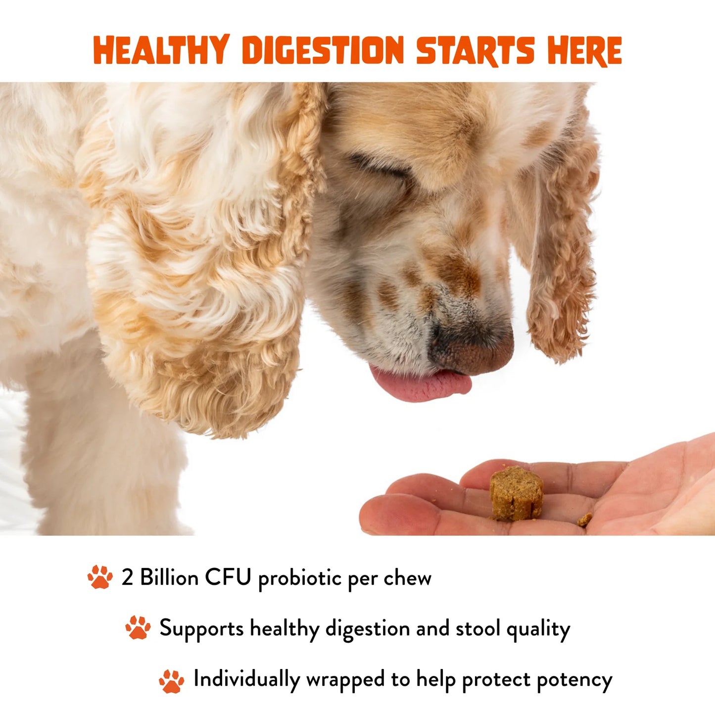 FAM PETS Digestive Health Soft Chews for Dogs
