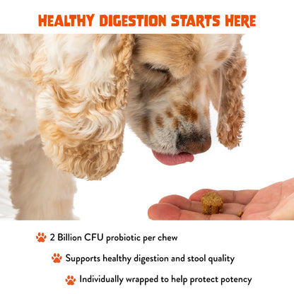 FAM PETS Digestive Health Soft Chews for Dogs