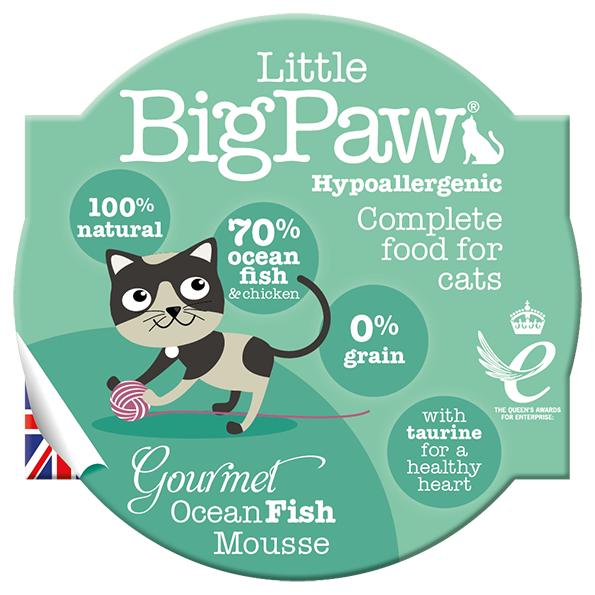 Llitte Big Paw Atlantic Ocean Fish Mousse 3pk