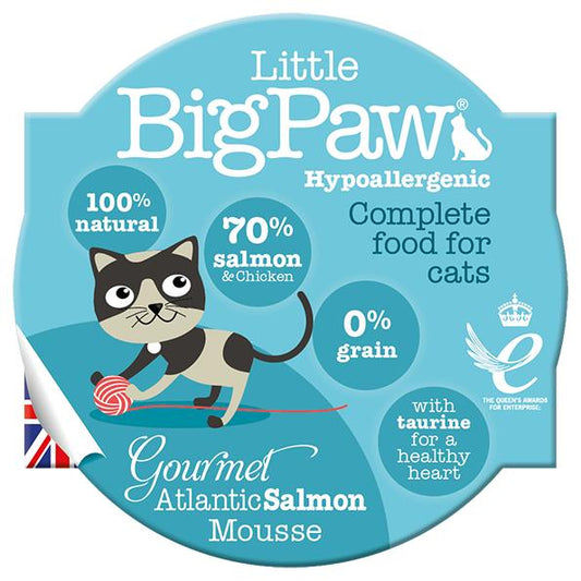 Llitte Big Paw Atlantic Salmon Mousse 3pk