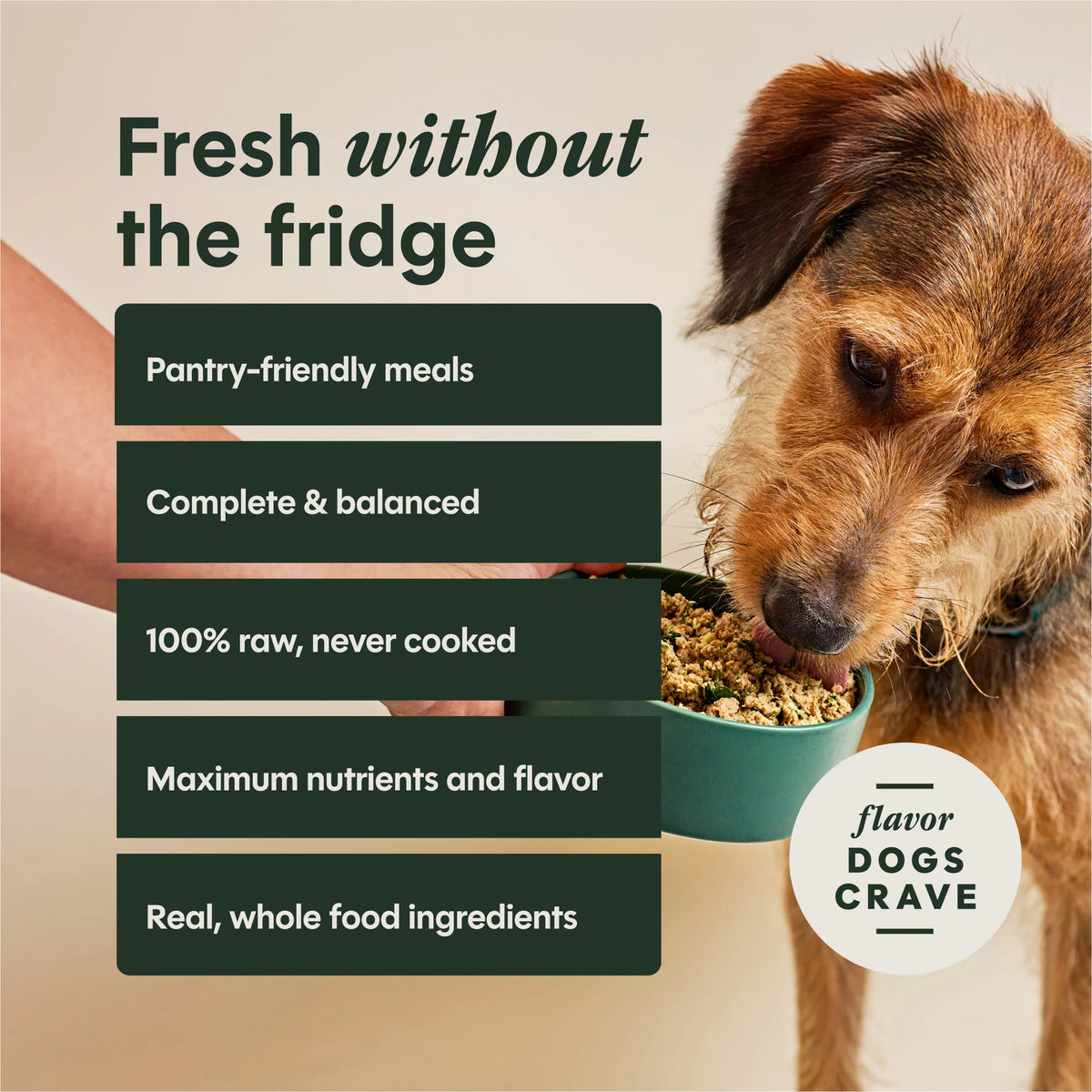 Instinct FreshDried Dog Food Beef & Wild Berries Blend