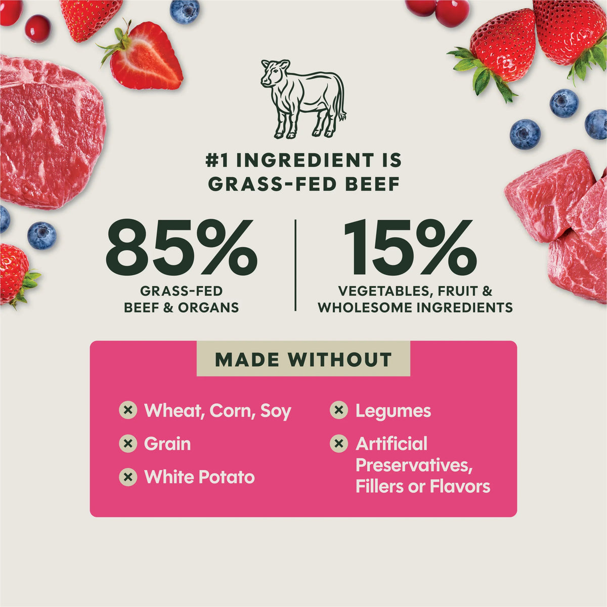 Instinct FreshDried Dog Food Beef & Wild Berries Blend